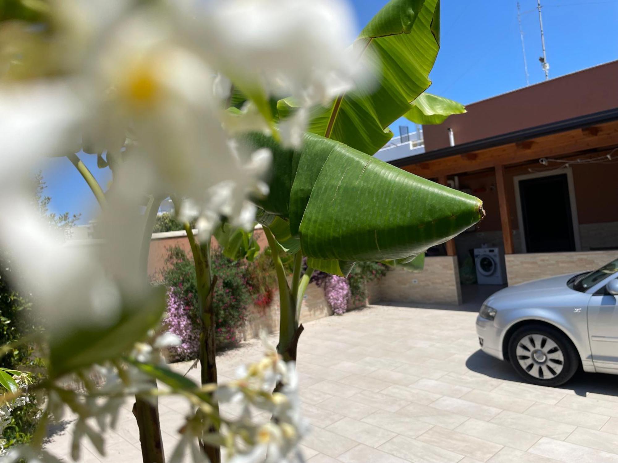 Caramel House & Villa Барі Екстер'єр фото